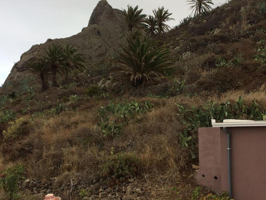 Casa-Solarium En La Naturaleza Santa Cruz de Tenerife Kültér fotó