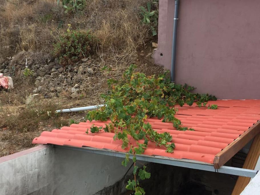 Casa-Solarium En La Naturaleza Santa Cruz de Tenerife Kültér fotó